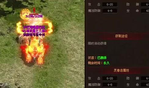 机关洞打沃毒蜈蚣：倒霉与幸运交织的传奇经历
